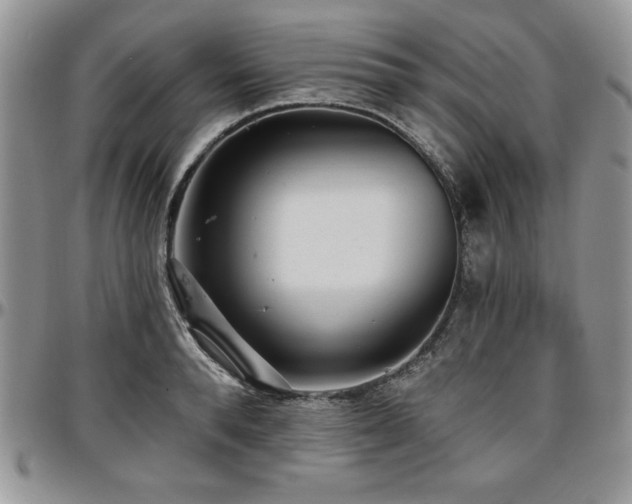 X0000097290896200802151412