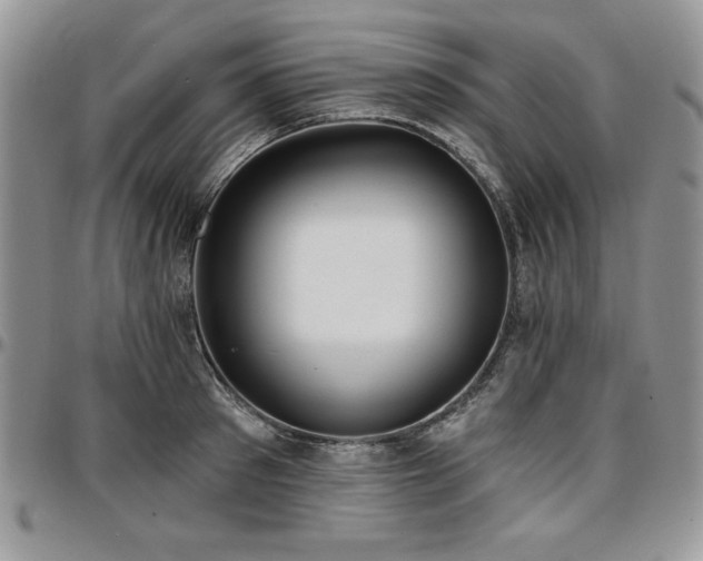 X0000097290897200802151412