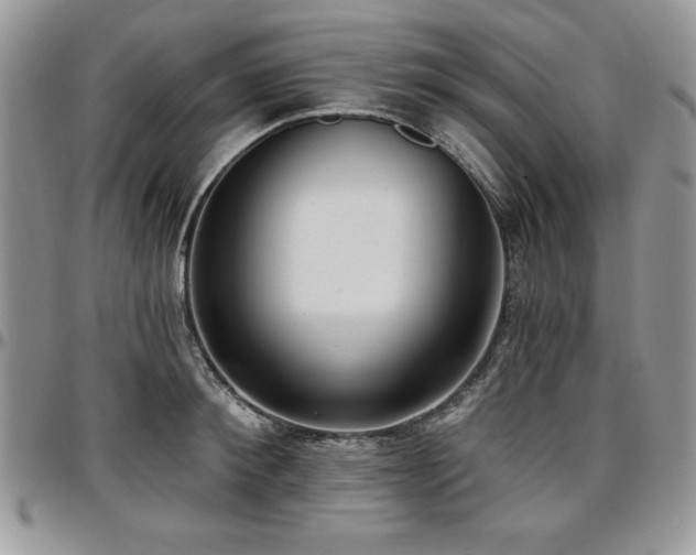 X0000097290900200802151412
