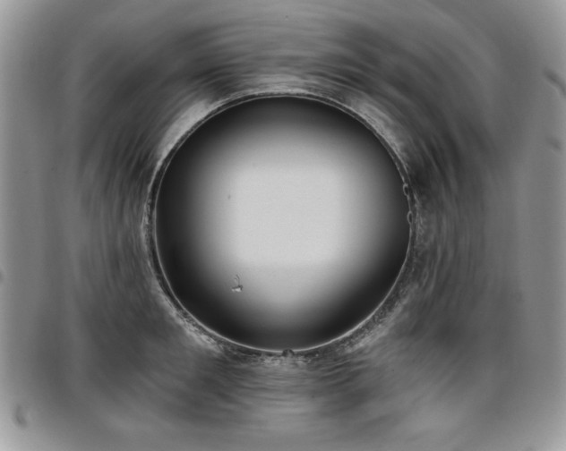 X0000097290901200802151412