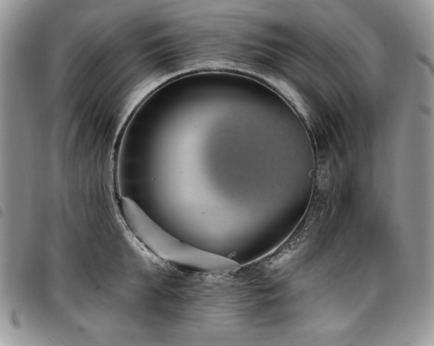 X0000097290903200802151412
