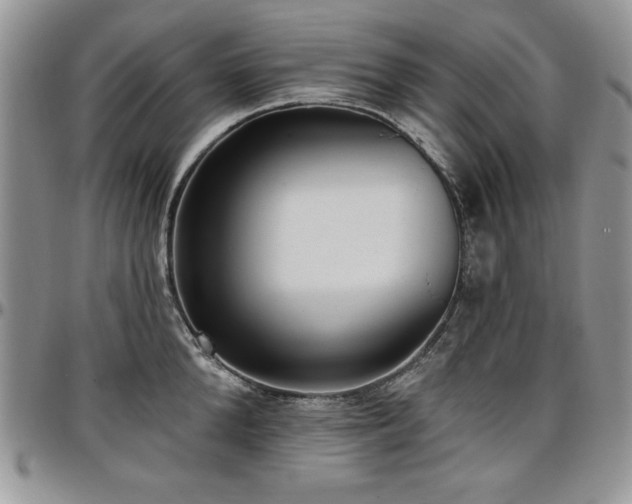 X0000097290904200802151412