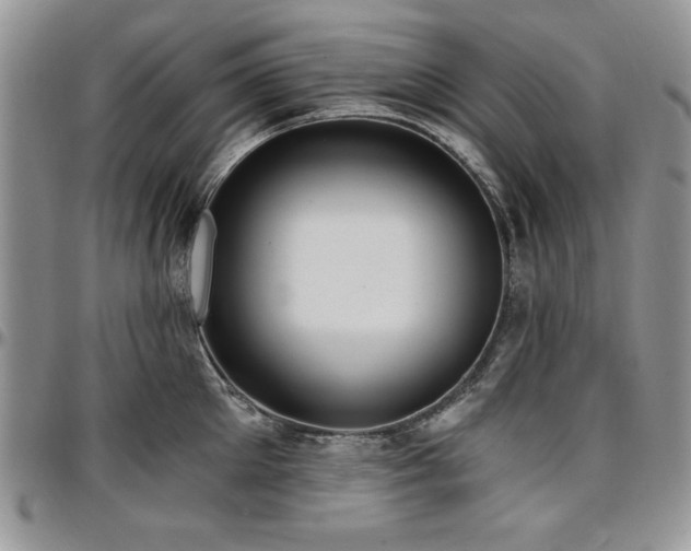 X0000097290905200802151412