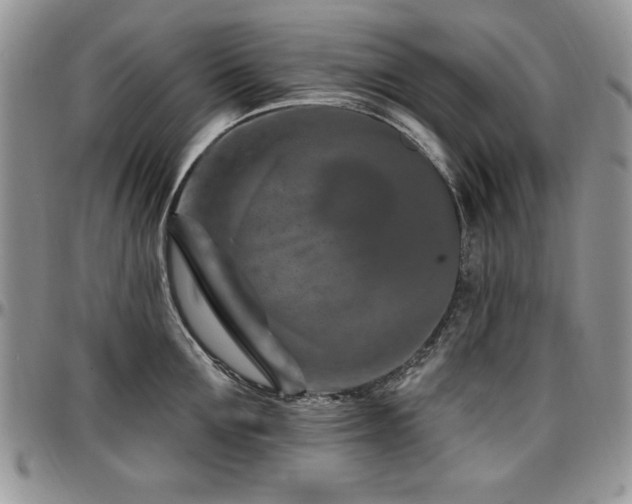 X0000097290907200802151412