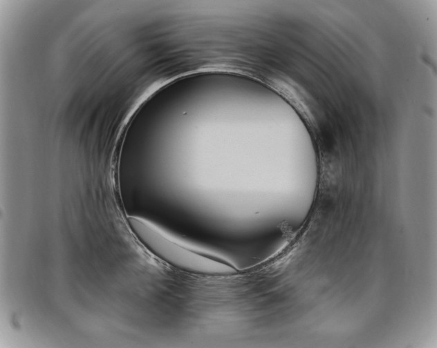 X0000097290908200802151412