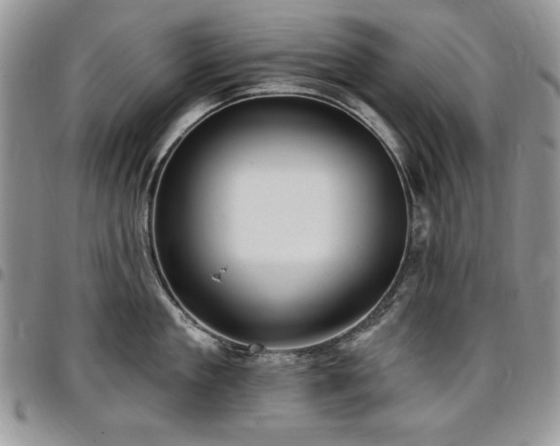 X0000097290909200802151412