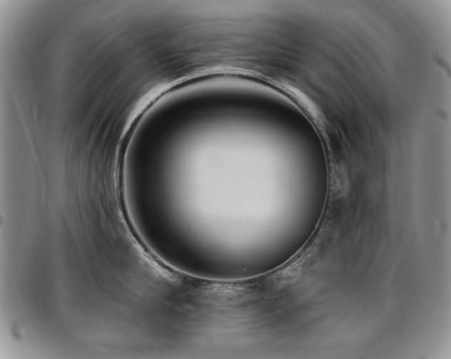 X0000097290910200802151412