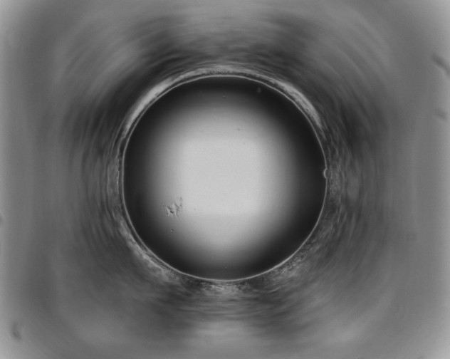 X0000097290911200802151412