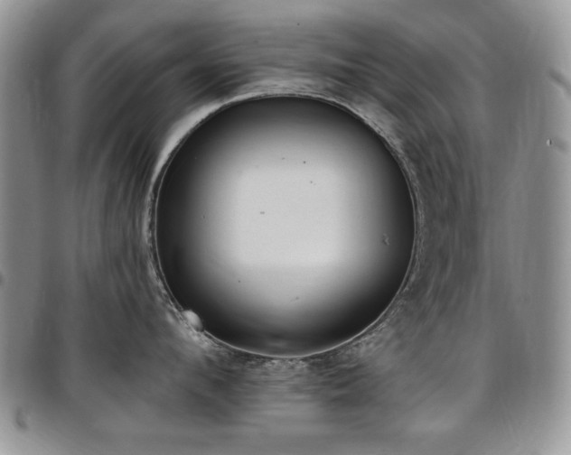 X0000097290912200802151412