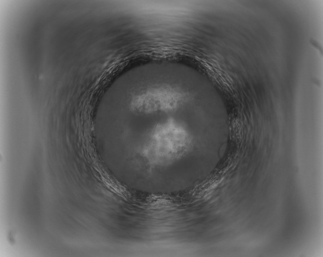 X0000097290913200802151411