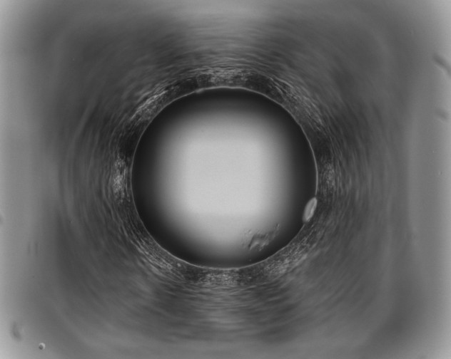 X0000097290914200802151411