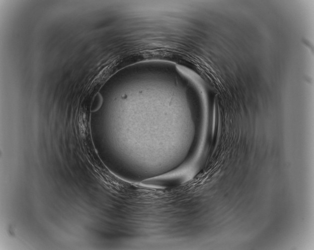 X0000097290915200802151411