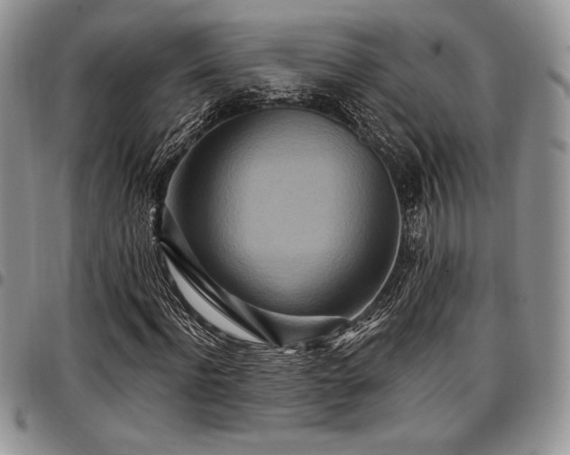 X0000097290916200802151411
