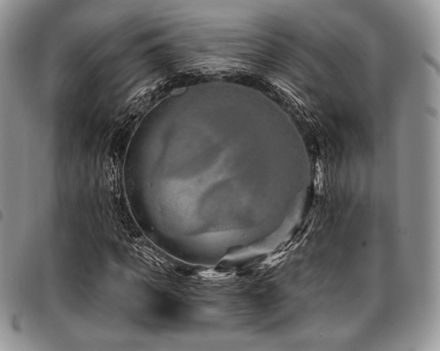 X0000097290917200802151411