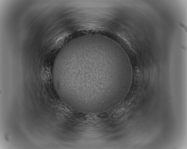 X0000097290918200802151411