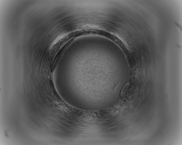 X0000097290919200802151411