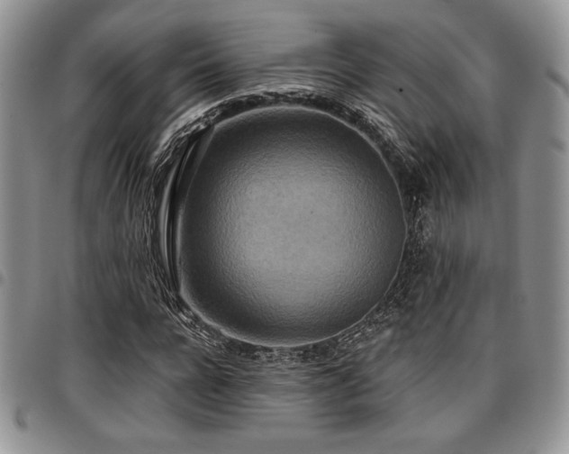 X0000097290920200802151411