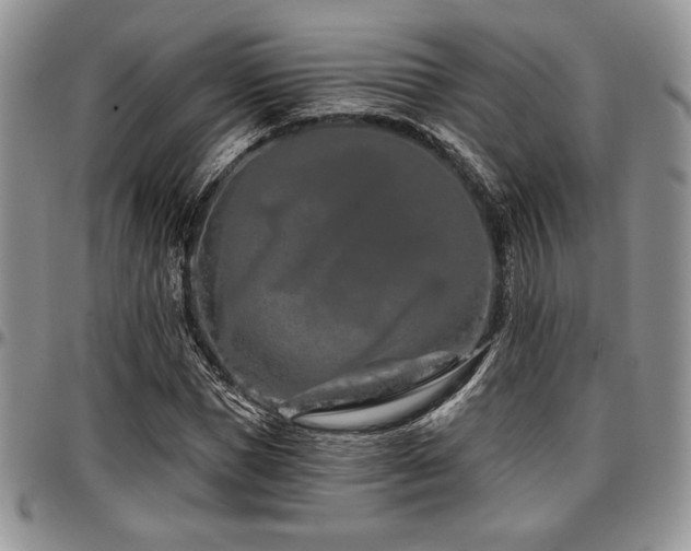 X0000097290921200802151411