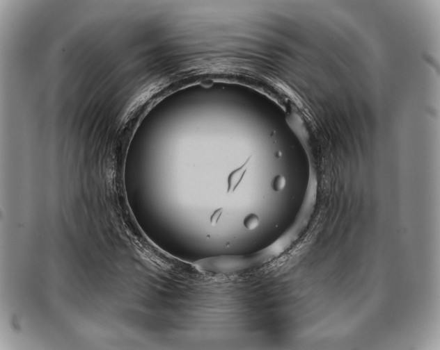 X0000097290922200802151411
