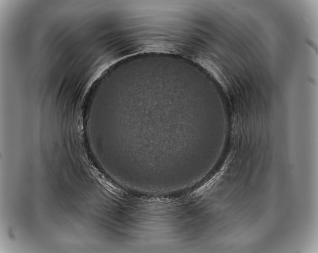 X0000097290923200802151411