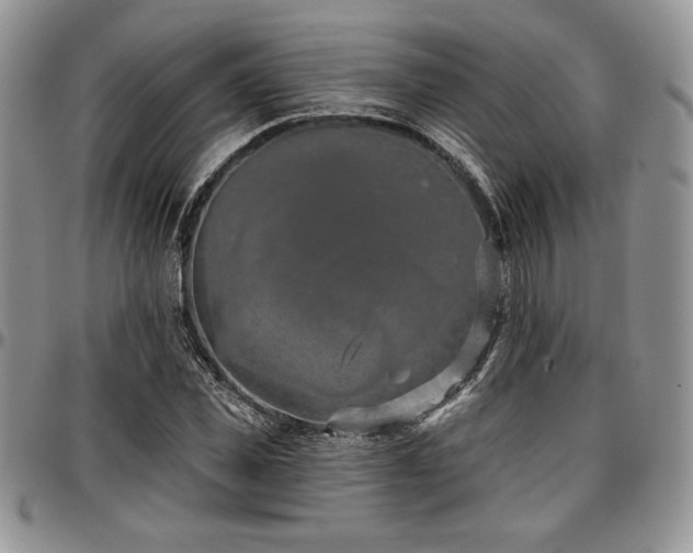 X0000097290925200802151411