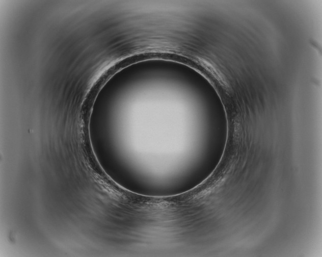 X0000097290926200802151411