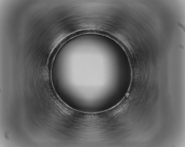 X0000097290927200802151411