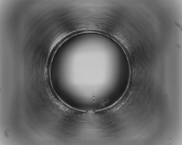 X0000097290928200802151411