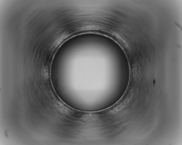 X0000097290929200802151411