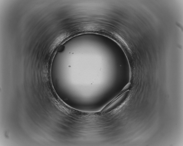 X0000097290930200802151411