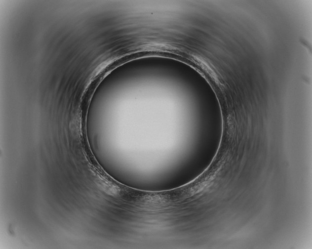 X0000097290931200802151411