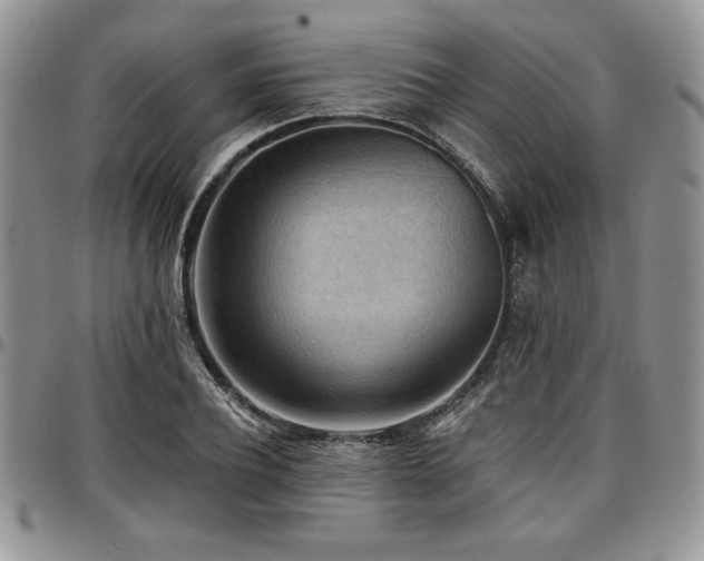 X0000097290932200802151411