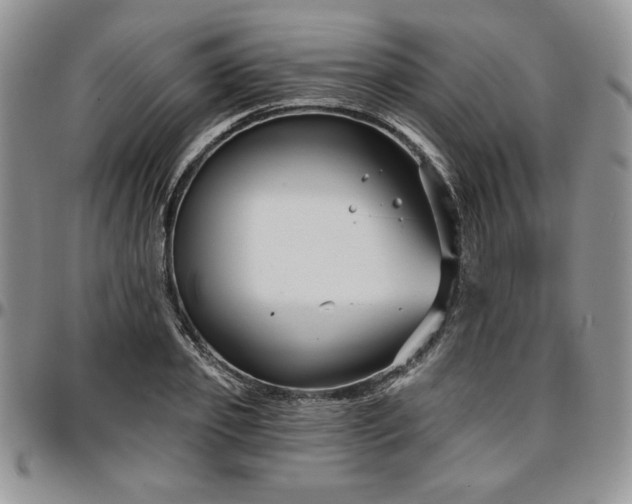 X0000097290933200802151411