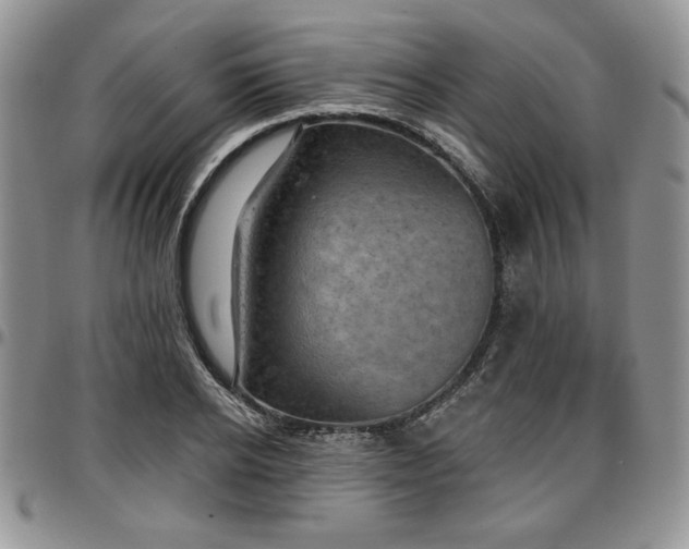 X0000097290934200802151411