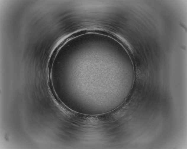X0000097290935200802151411
