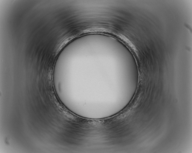 X0000097290937200802151411