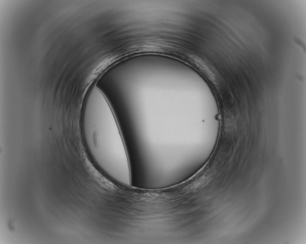 X0000097290938200802151411