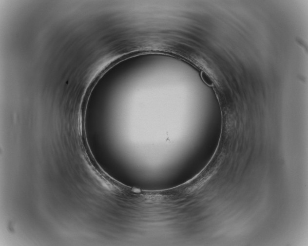 X0000097290940200802151411