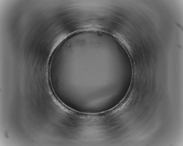 X0000097290941200802151411