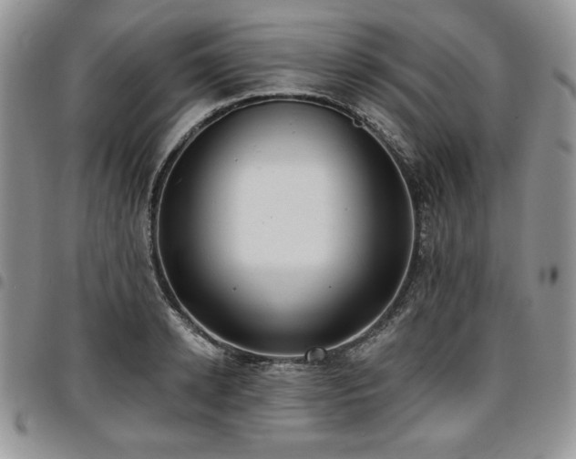 X0000097290942200802151411