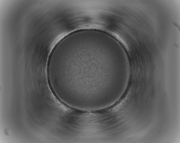 X0000097290943200802151411
