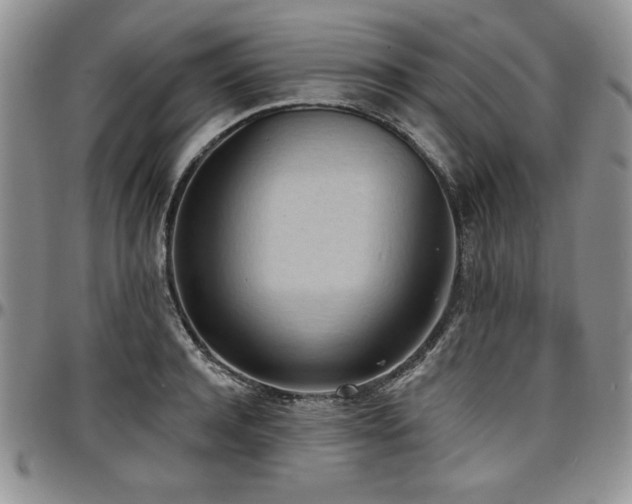 X0000097290944200802151411