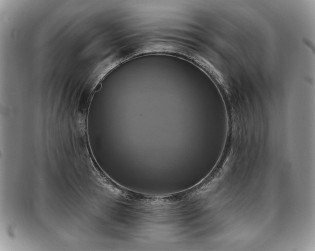 X0000097290945200802151411
