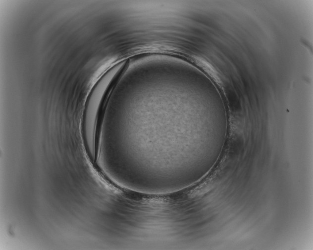 X0000097290946200802151411