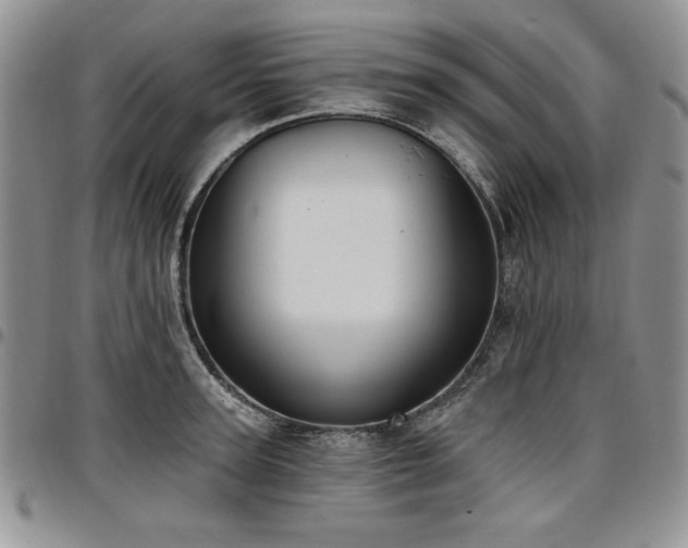 X0000097290947200802151411