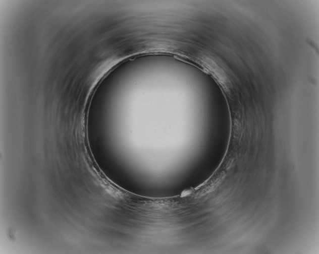 X0000097290948200802151411