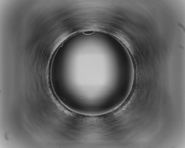 X0000097290949200802151412