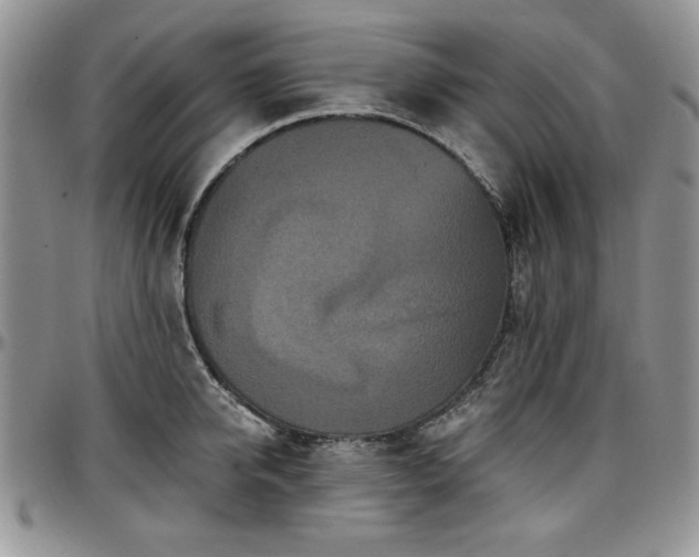 X0000097290950200802151412