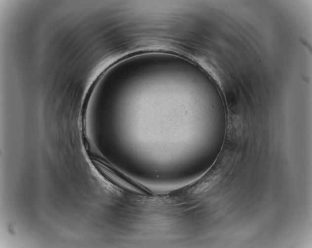 X0000097290951200802151412