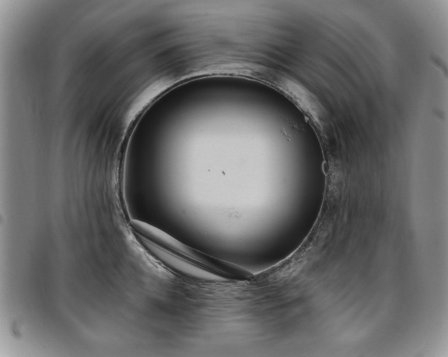 X0000097290952200802151412